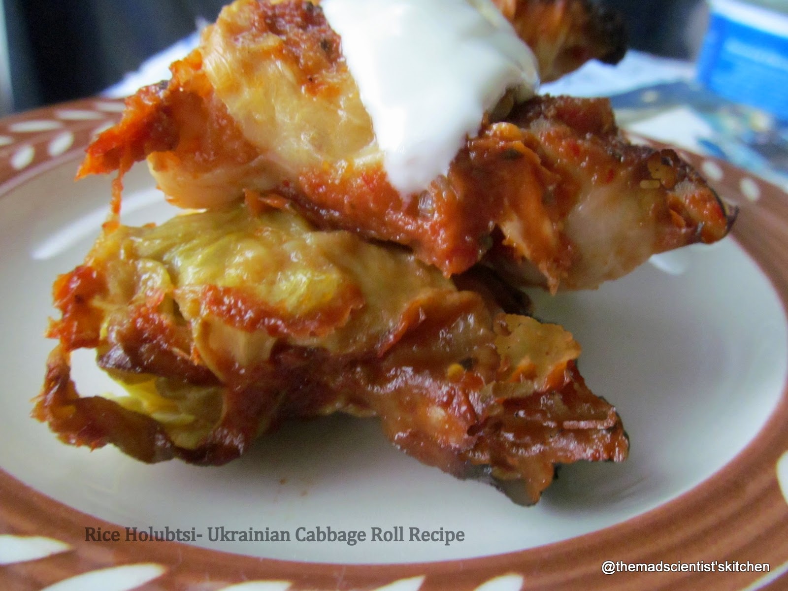 Rice HolubtsiUkrainian Cabbage Roll Recipe The Mad Scientists Kitchen