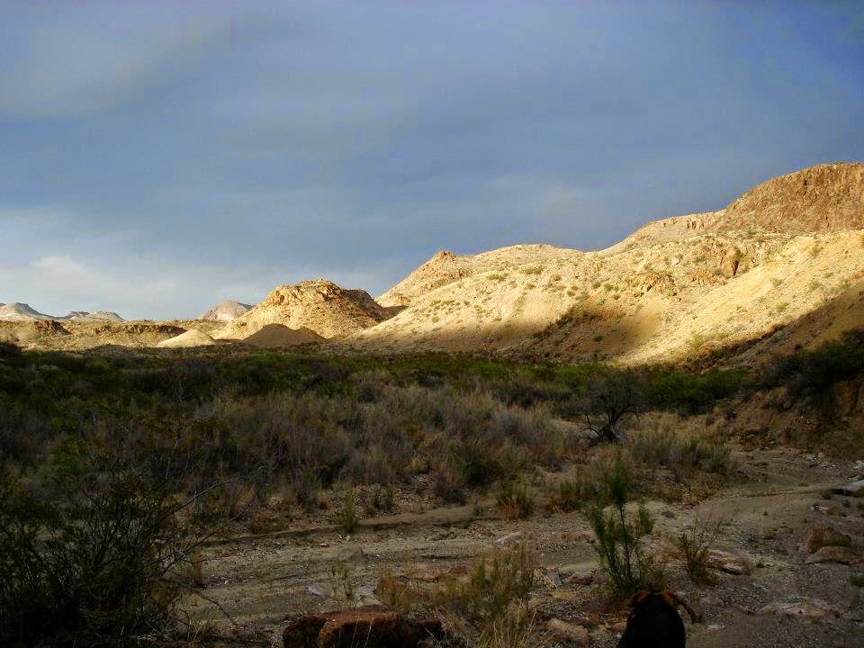 Cheap Land For Sale CHEAP LAND FOR SALE Texas Land 10, 20 or 30 Acres