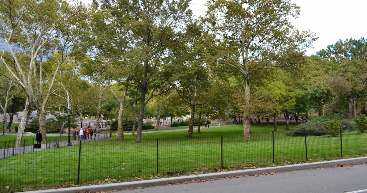 Happy Birthday Central Park !