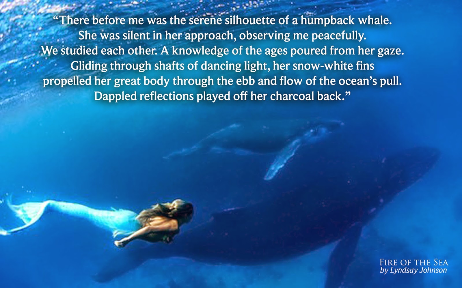 Whales Quotes. QuotesGram