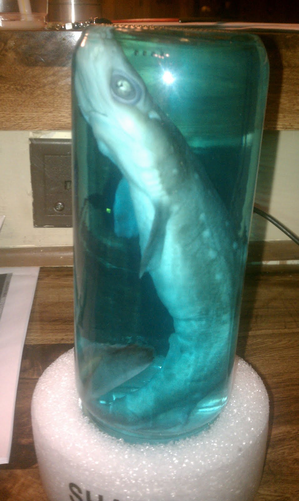 A Little Bitty piece of Tennessee August 2011