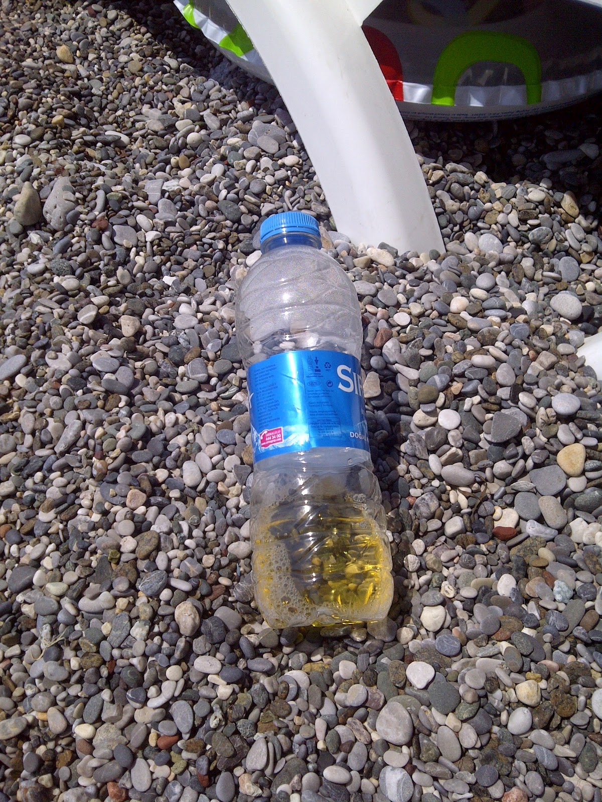 Once Kadin Sonra Anne Tuvalet Egitimi Sokaktaki Son Durum