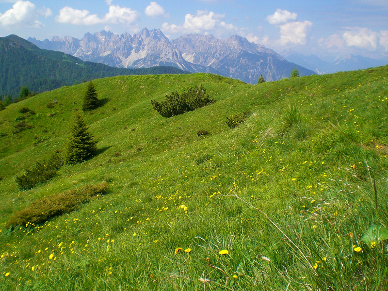 L`Eccezione Alla Regola