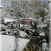 Schnee und ein Lebenszeichen...