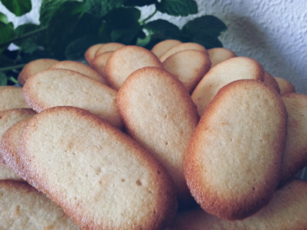 Lenguas De Gato
