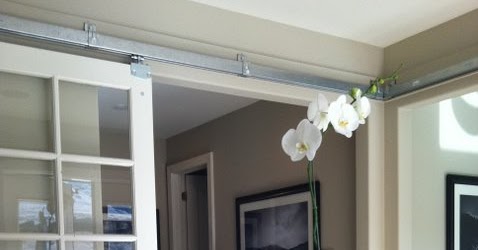 Everything Grows: Indoor succulents need light