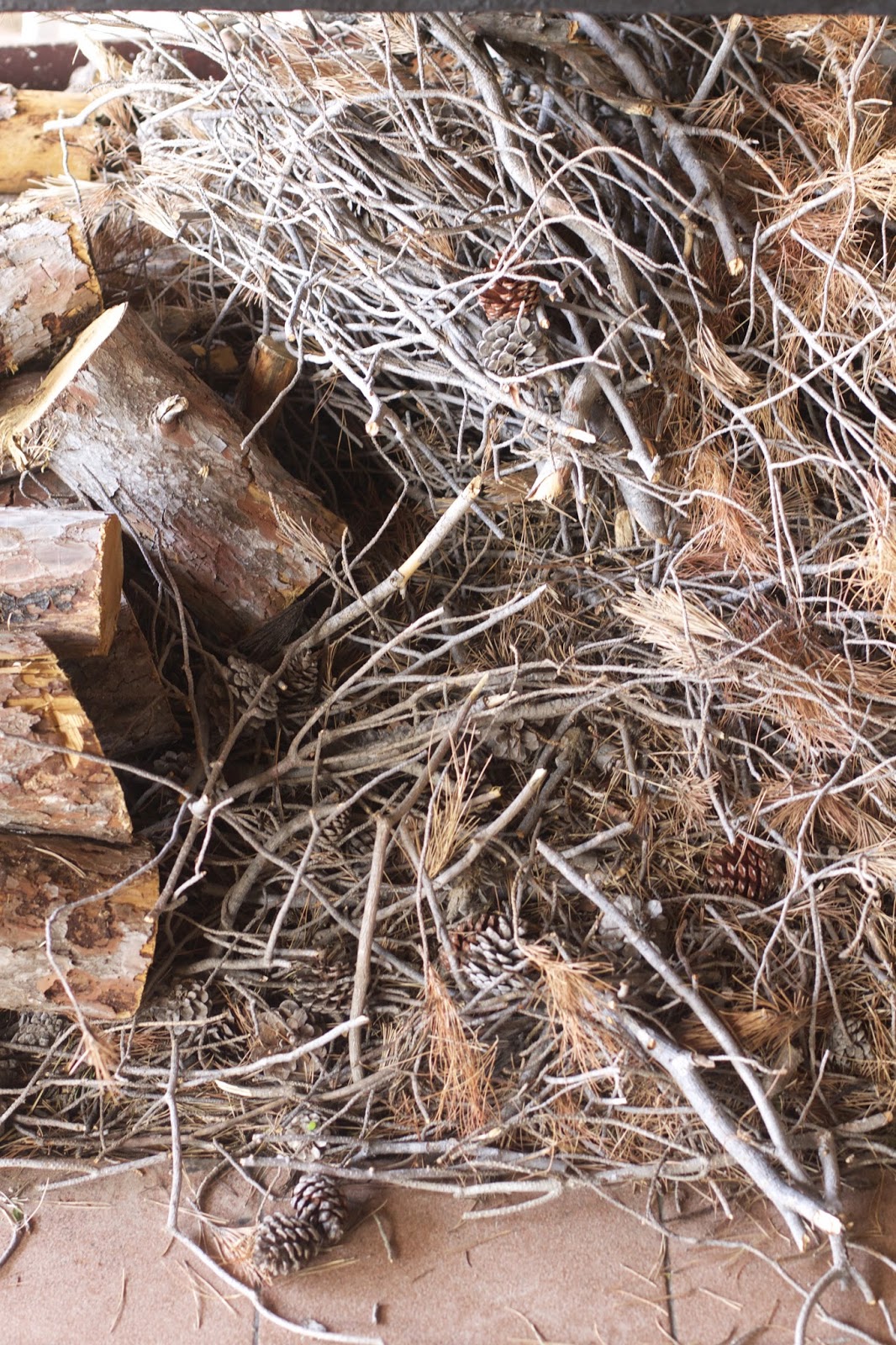 Wo Es Auf Mallorca Am Kostlichsten Ist Mein Foodguide Fur Die