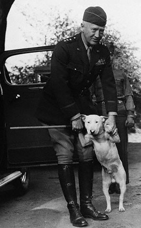 War God Patton General Patton And His Dog Willie