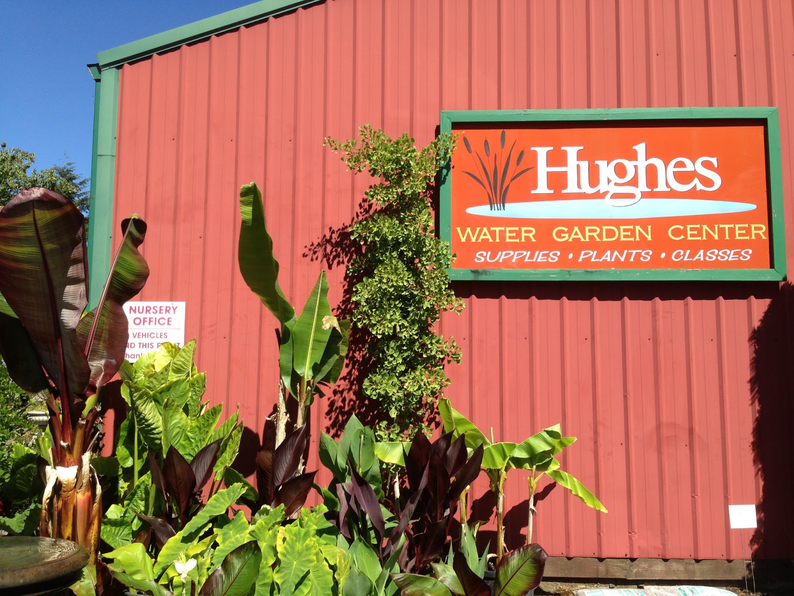 The Lents Farmer Hughes Water Garden Center