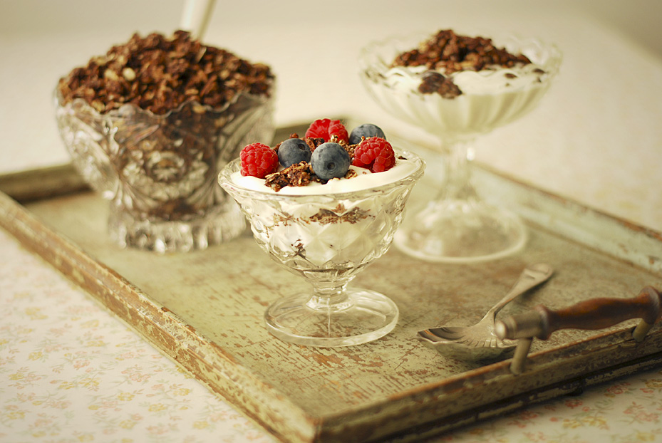 Chocolate and Coconut Granola Katie Cakes
