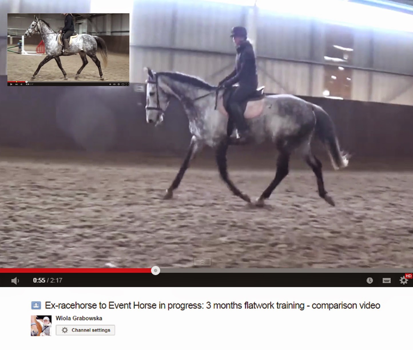 Day 83 & 84 Exracehorse to Event Horse in progress 3 months flatwork