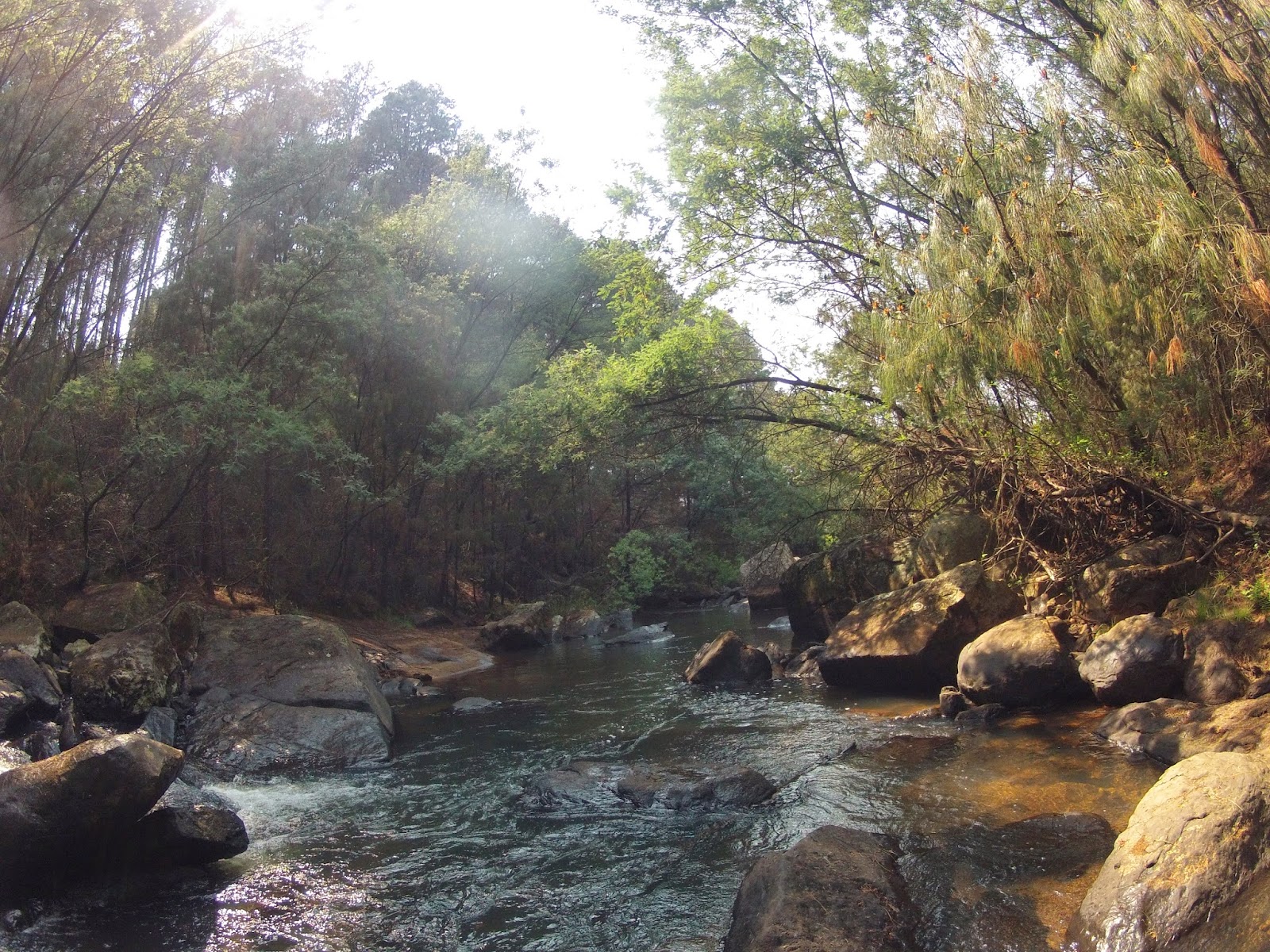 Zwakala River Retreat Haenertsburg Broederstroom River Forest Section