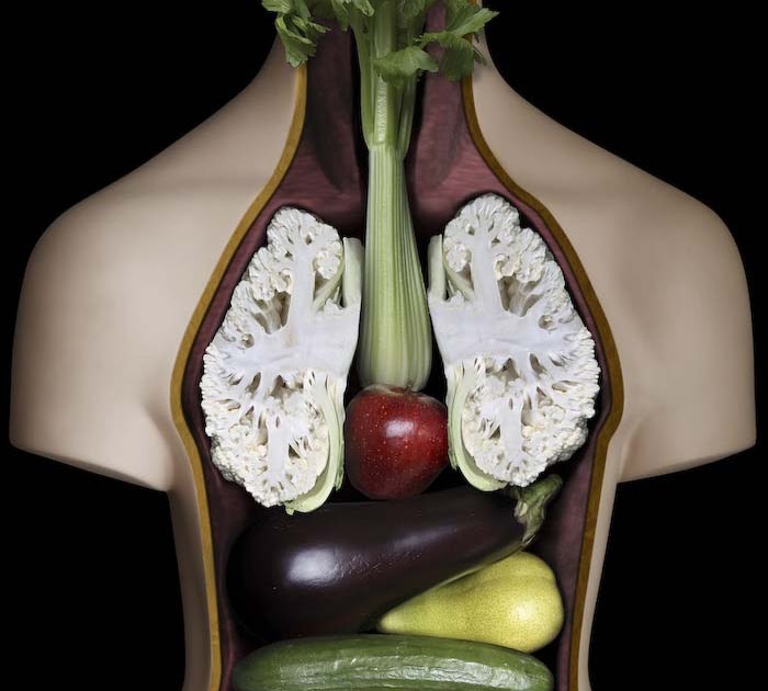 organlarımız neye benzer Blog