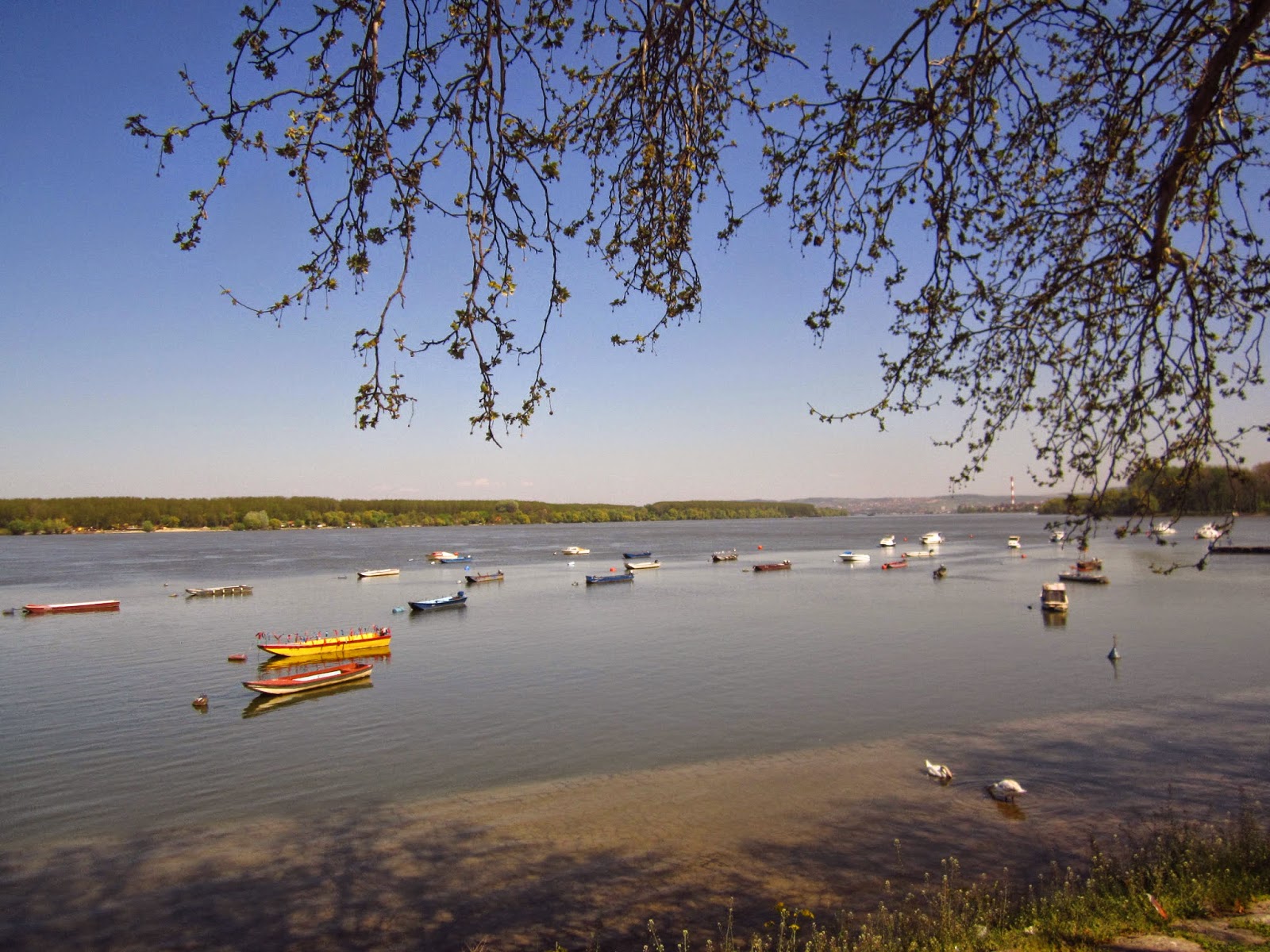 je veu rencontrer fille