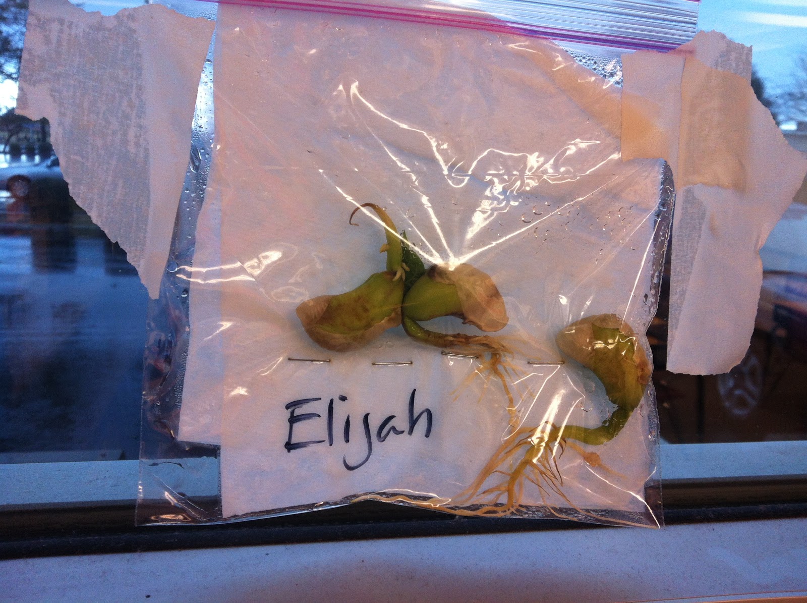 Strong Minds & Big Hearts Miss Mercede's Classroom