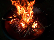How to Make a Campfire
