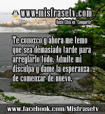 frases de disculpa para un amor frases de disculpa para un amor
