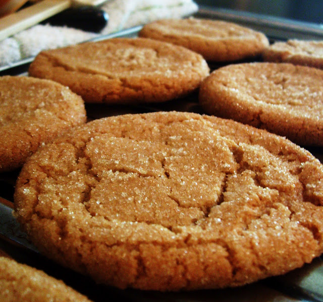 Simple Savory & Satisfying Brown Sugar Cookies