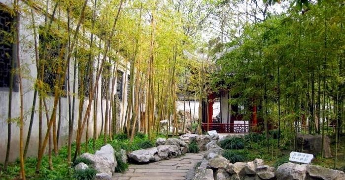 Bamboo In The Garden - A Fascinating And Versatile Plant | Houzz Home