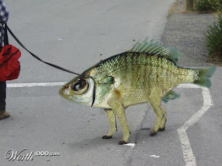 fish+on+a+leash.jpg