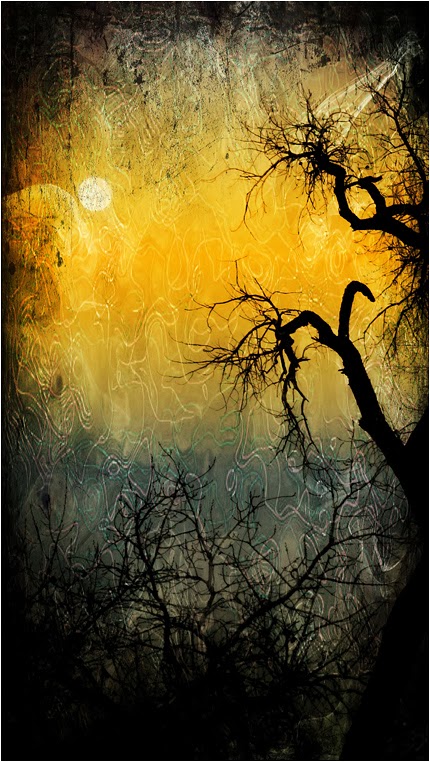 emphoka, photo of the day, Fran D, Canon Powershot SX20 IS emphoka, photo of the day, Fran D, Canon Powershot SX20 IS