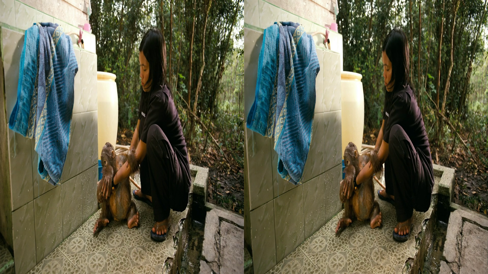 Free Download Real Hide Ip 4608 Full Patch