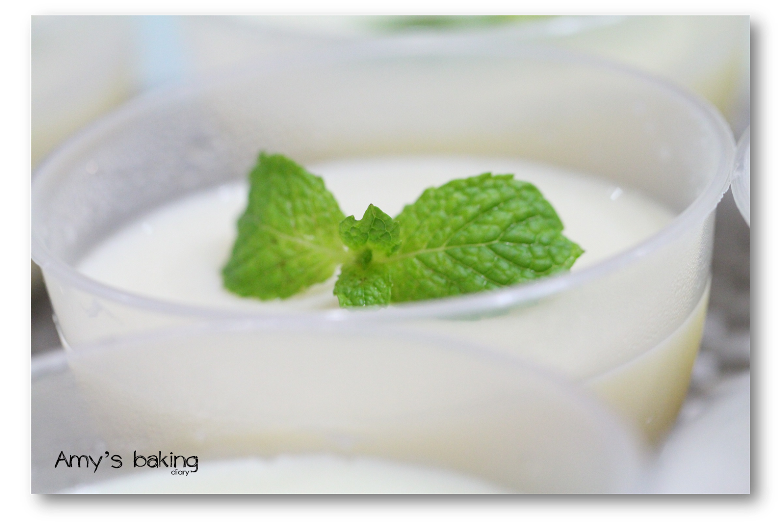 Amy Baking Diary Soy Bean Pudding