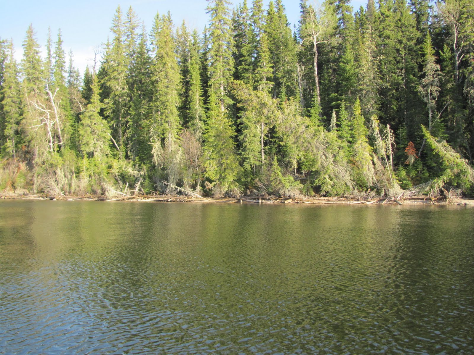 News of the Week First tour of Winefred Lake, May 17