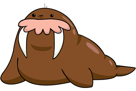 walrus.png