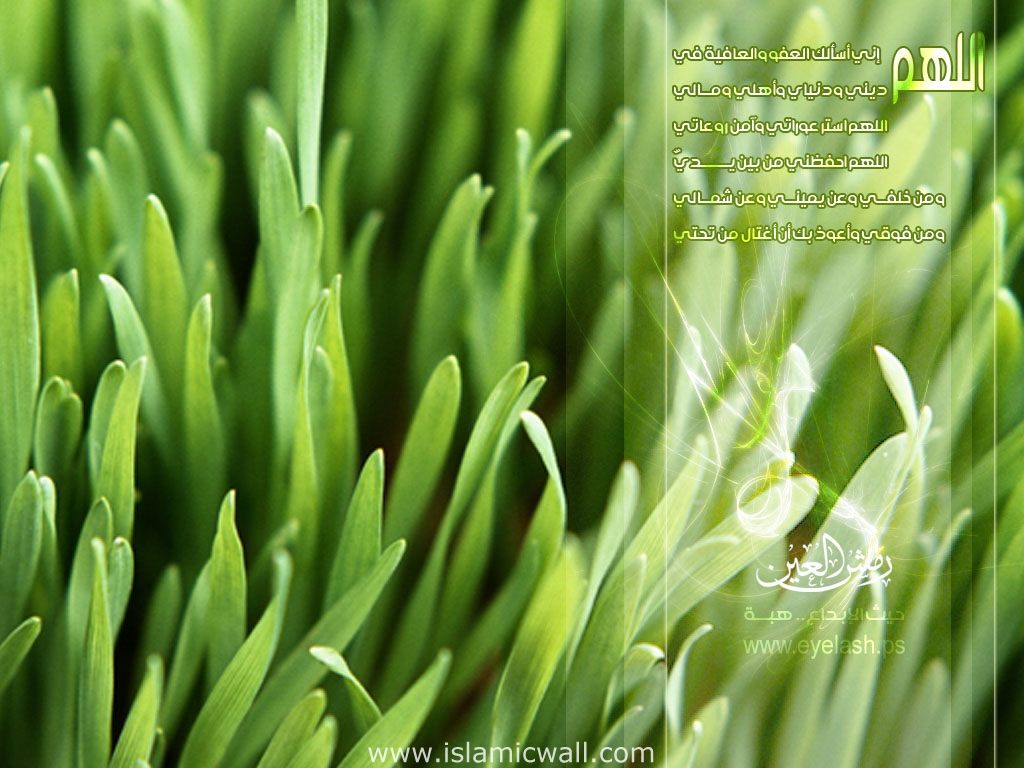 Wallpaper Islami MAJMAUL SANTRI