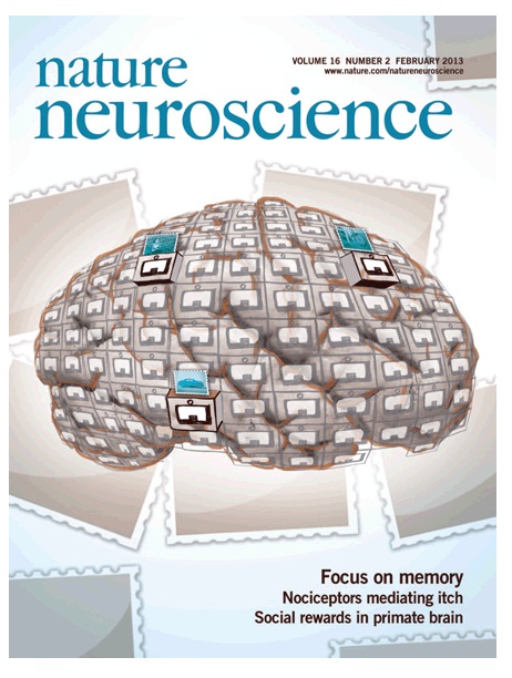 Nature Neuroscience, muestra avances recientes dirigidos a futuras investigaciónes de la memoria.