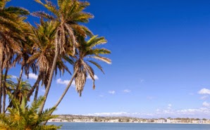 All About California Nursing Schools | Nursing Schools All About California Nursing Schools | Nursing Schools