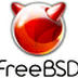 Did You Know You Can Try BSD With VirtualBSD?