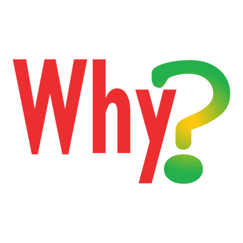 Why? [1995]