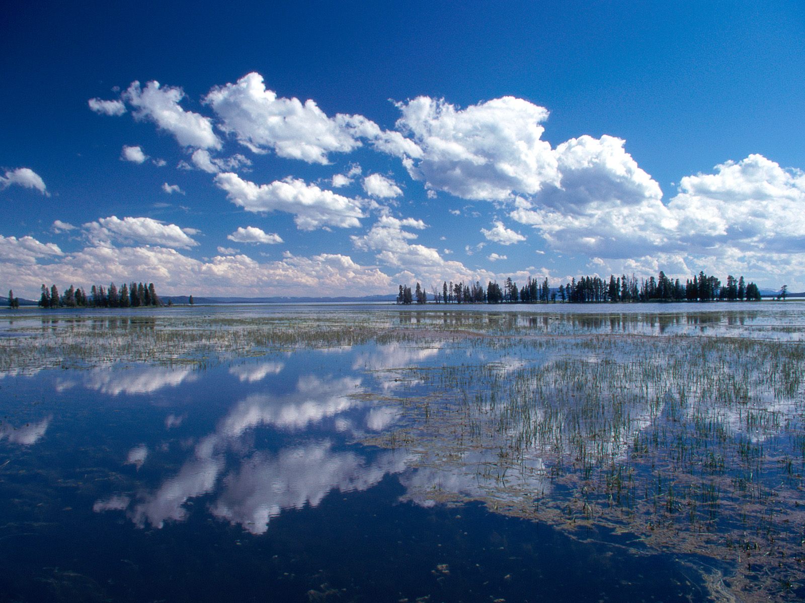 FishinRod: Yellowstone
