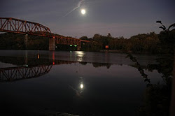 8. Tennessee River at boat ramp across from Knoxville sewer plant