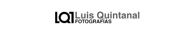 luis quintanal