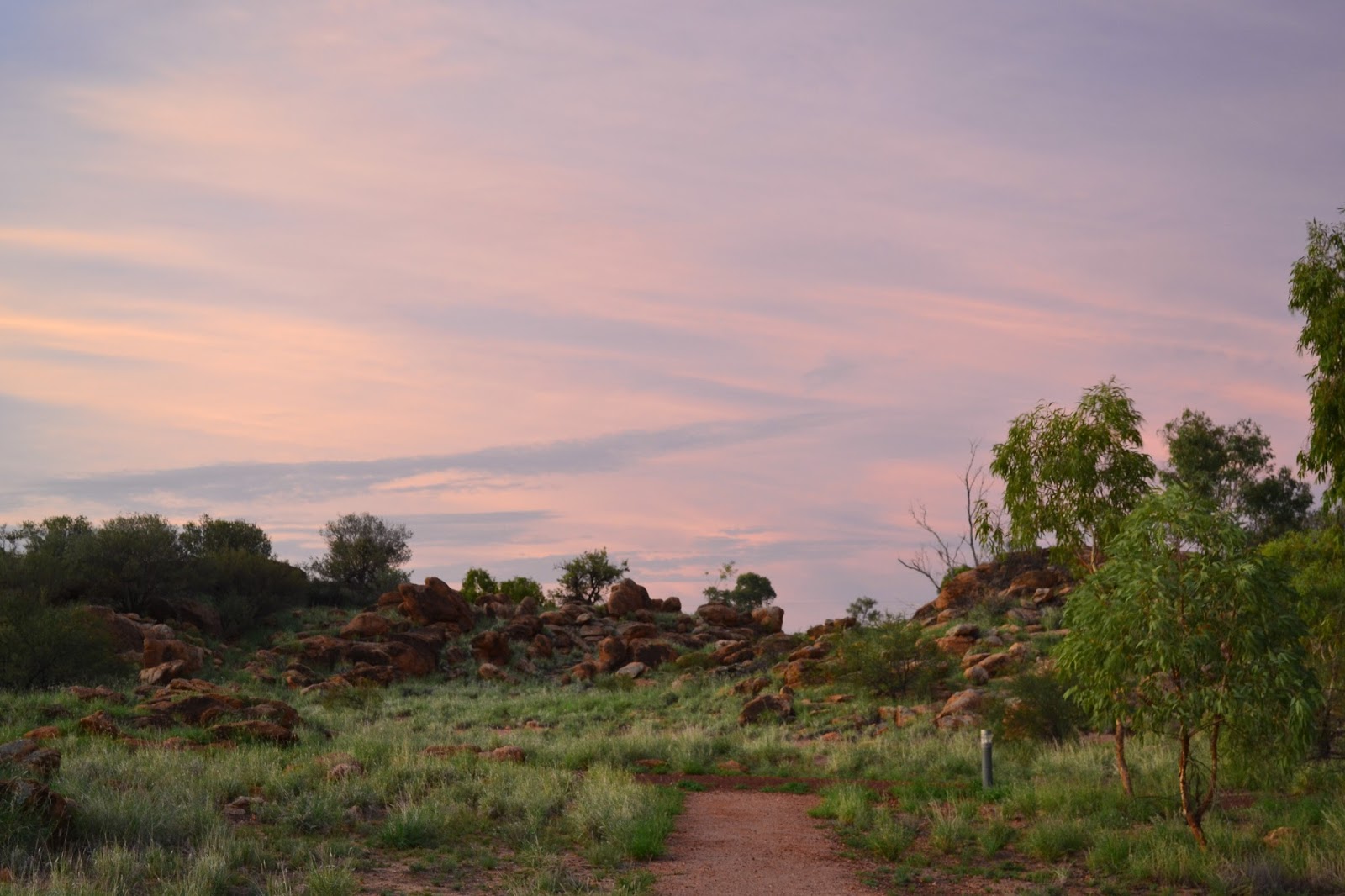 Goin' Feral One Day At A Time Bradshaw Walk, Alice Springs Telegraph