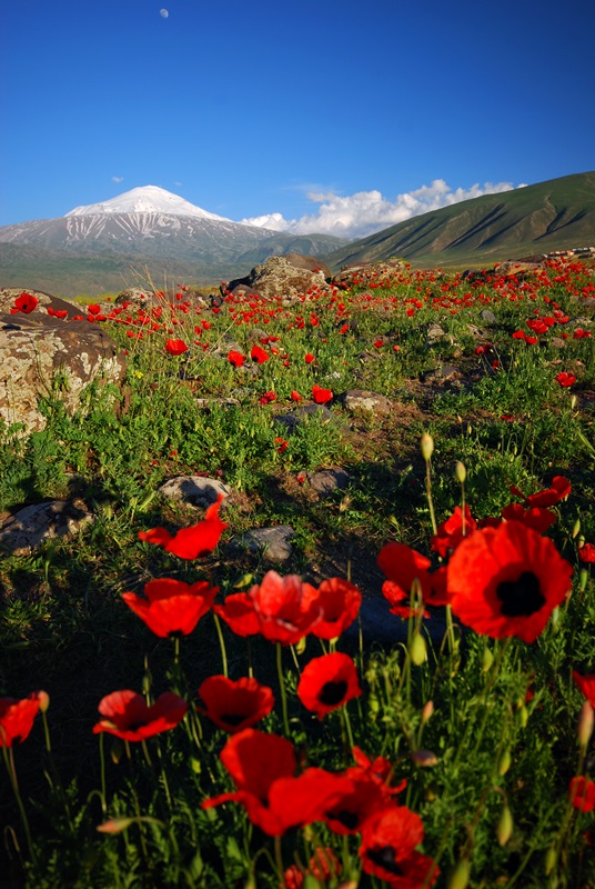 A%C4%9Fr%C4%B1+Da%C4%9F%C4%B1+500+(9).JP