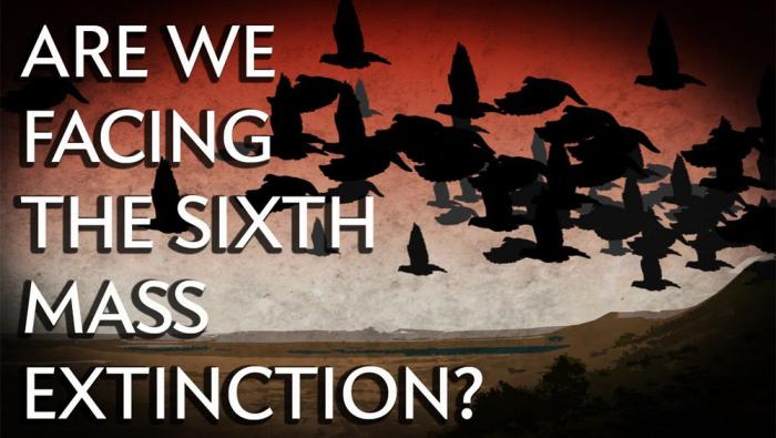 Mass Extinction