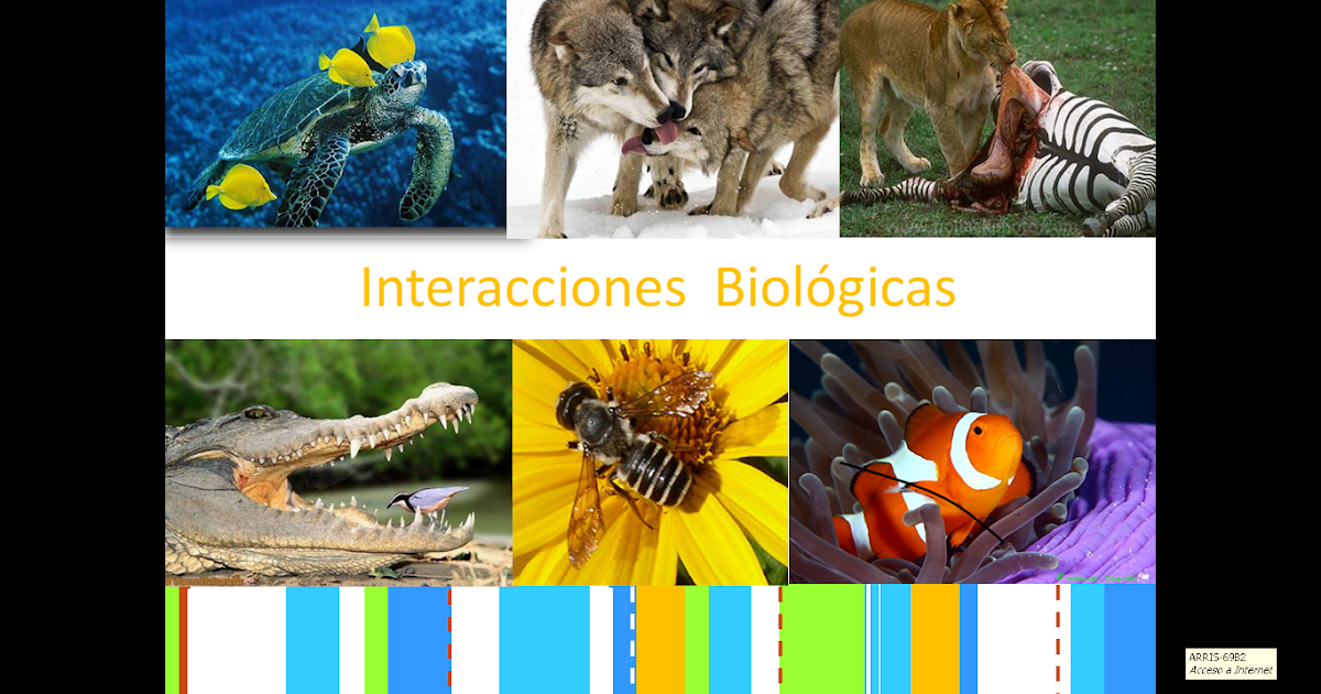 Lee El Texto Y Realiza Las Actividades 100 cia divertida...Biología: Diapositiva Interacciones biológicas