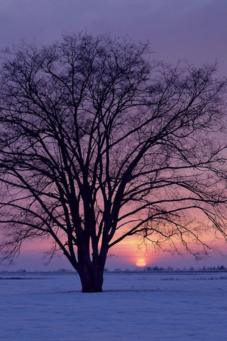 iphone wallpaper background