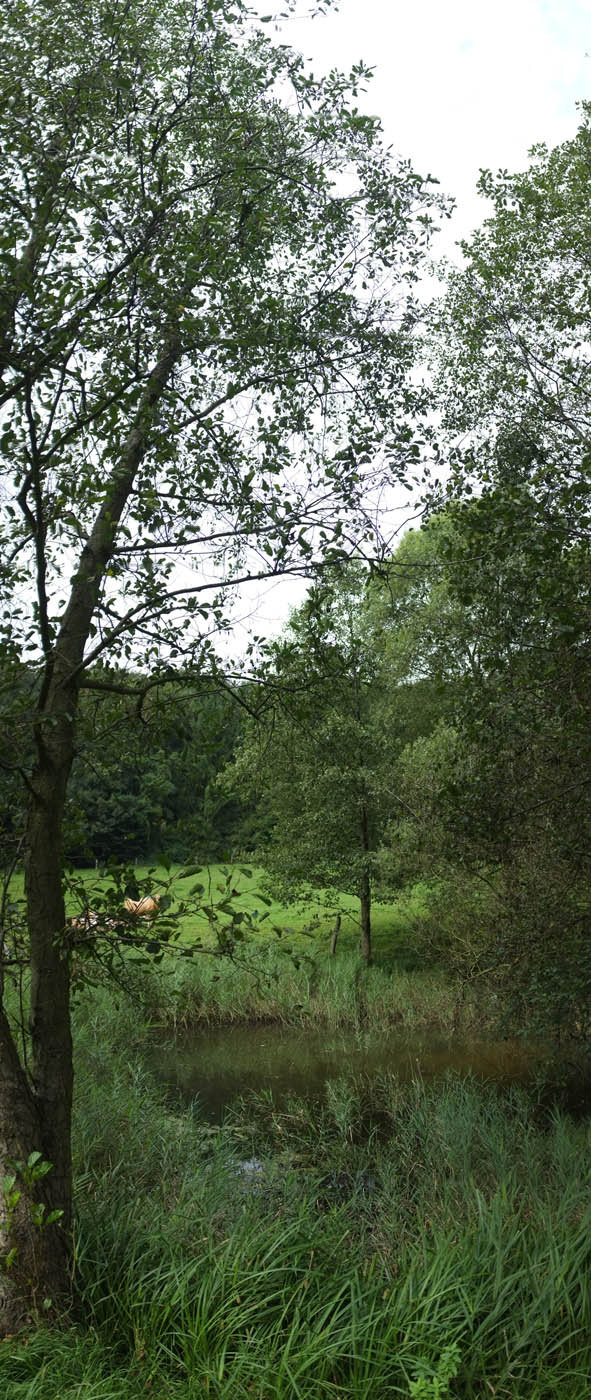 Kybersetzung Ein Blog Betr Rugenwalder Schweiz Passendes