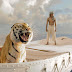 Cinema - Life of Pi