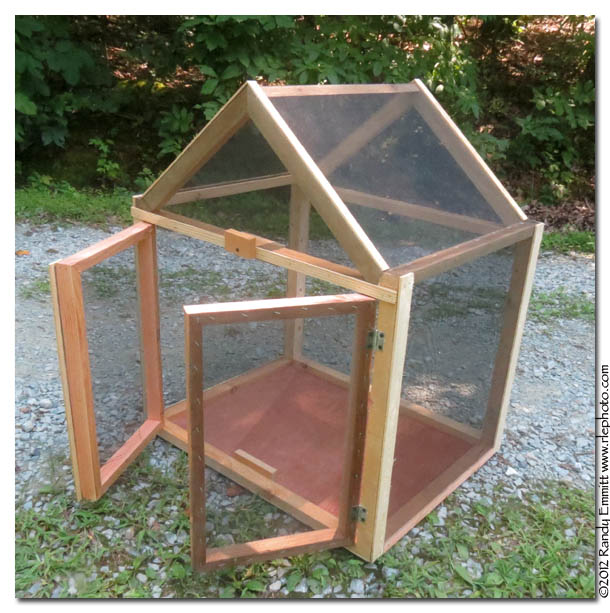 Randy & Meg's Garden Paradise Butterfly caterpillar cage for the class