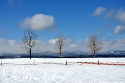 Shelburne Farms, Vermont