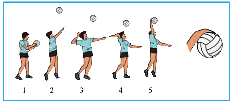 Padma S Blog Makalah Bola Voli