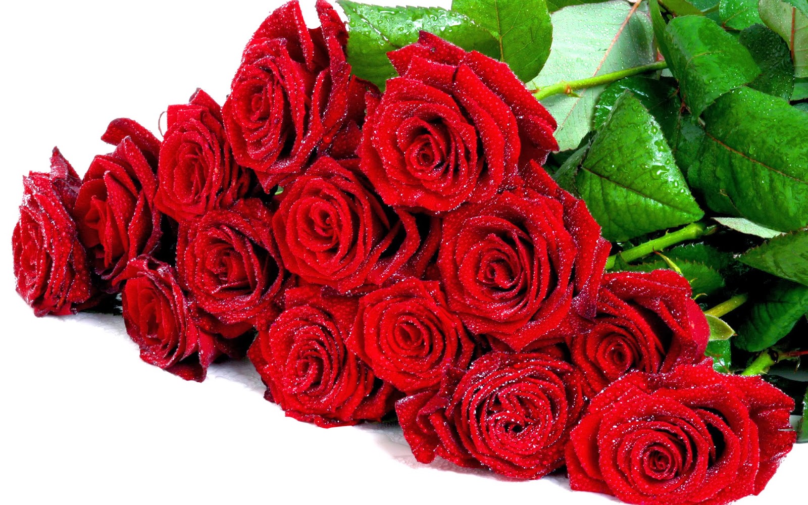 Why do women love flowers Why do women love flowers