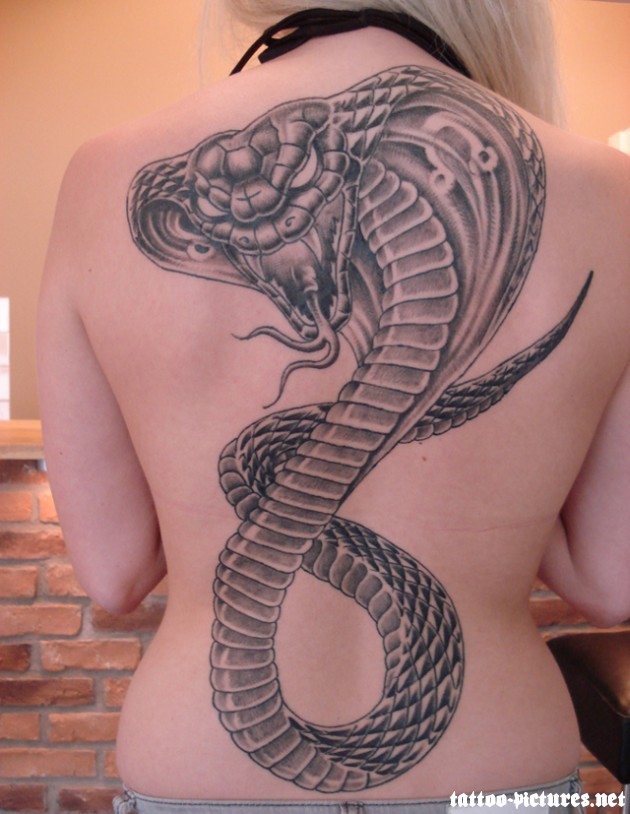 Cobra Tattoo 2013