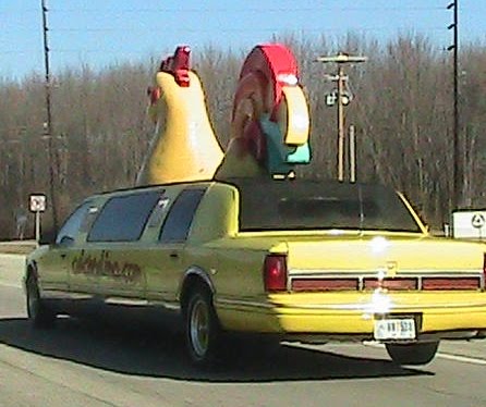 chicken limo